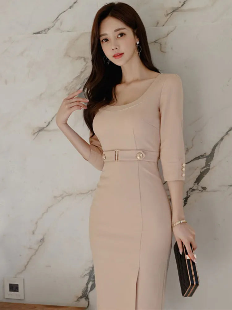 Elegant Women Pencil Dress